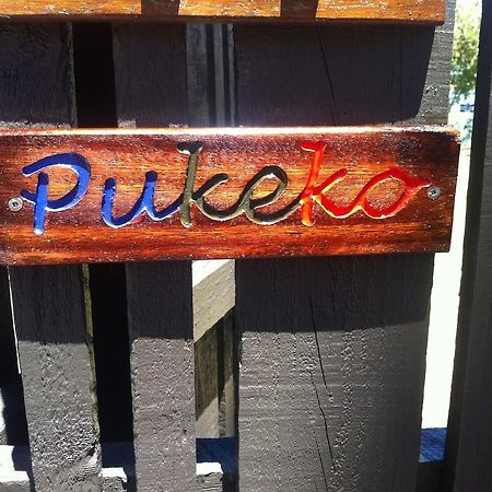 Pukeko On Bay Lejlighed Tauranga Eksteriør billede